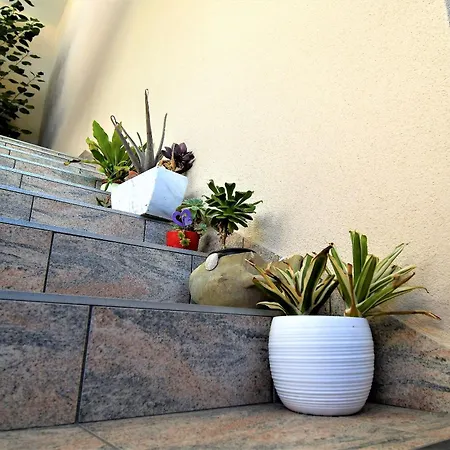 Mirjana V Apartment *